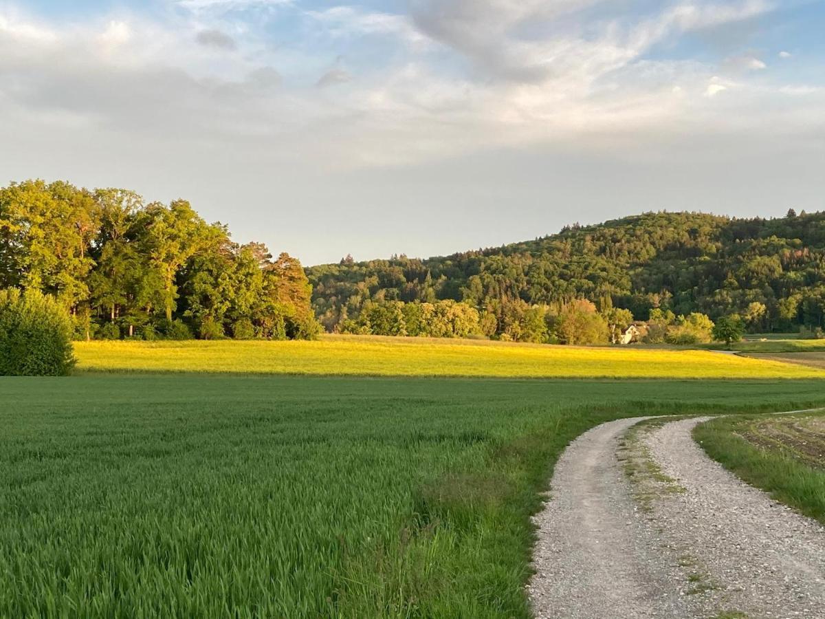 Апартаменти Buesingen Am Hochrhein Radfahren, Wandern, Natur Geniessen Екстер'єр фото