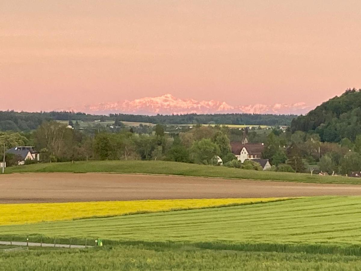 Buesingen Am Hochrhein Radfahren, Wandern, Natur Geniessen Екстер'єр фото