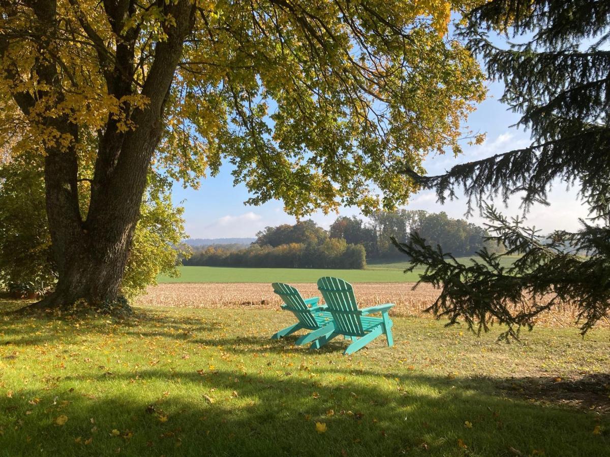 Апартаменти Buesingen Am Hochrhein Radfahren, Wandern, Natur Geniessen Екстер'єр фото